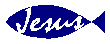 JSUSFSH1.gif (995 bytes)