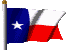 tx-flag.gif (6994 bytes)